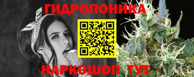 мдпв Чапаевск
