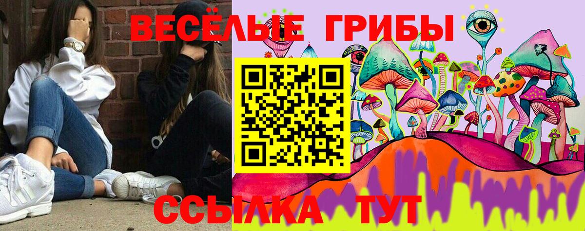 Качканар  Псилоцибиновые грибы ЛСД  Вход с VPN 